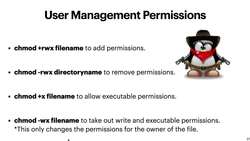 Linux Operating System: A Complete Linux Guide for Beginners - Changing User Permissions Instructional Video