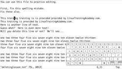 Vim Masterclass - Deleting Text and "Thinking in Vim" Instructional Video
