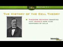 The Discovery of Cells Instructional Video