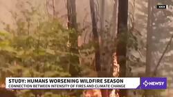 Global Warming Is Drying Out Fire Fuels News Clip