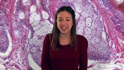 Cell Division and Reproduction in Animals and Plants Instructional Video