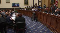 US House hearing on online hate sees it firsthand Instructional Video