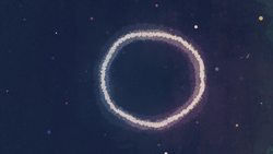 TED-Ed: Why should you read Dante's "Divine Comedy"? | Sheila Marie Orfano Instructional Video