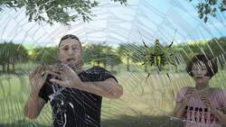 Huge, alien-looking spider invading the U.S. Instructional Video