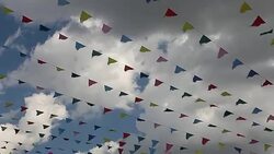 Carnival celebrate banner party flags Stock Footage