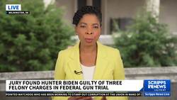 Juror in Hunter Biden case speaks out, says president's son shouldn't go to jail News Clip