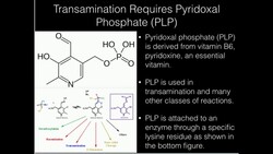 Vitamin B6: Pyridoxal Phosphate Instructional Video