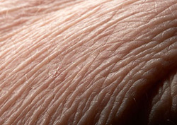 Tissue Instructional Video