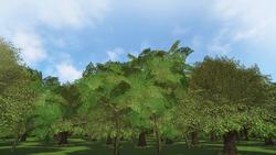 Scientists say Earth is at risk of becoming "hothouse" Instructional Video