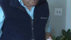 CLEAN : Meet the New Hampshire primary superfans News Clip