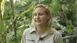 Taking on the World All By Herself! This Orangutan Is Making Waves! Instructional Video