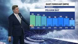 Cloudy, possible shower Tuesday in the Bronx Instructional Video