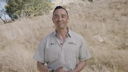 When You See This Bird Stomping, Watch Out! Instructional Video