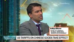 Math is Challenging on Tax Cuts Offsetting Tariffs, says BofA's Bhave News Clip