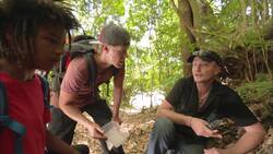 How to Catch and Milk a Tarantula Instructional Video