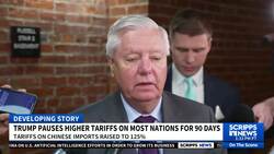 Some Republicans applaud Trump's strategy after tariff pause News Clip