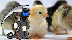 6 Weird Wedding Traditions Instructional Video