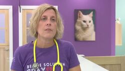 Former head of Windsor/Essex County Humane Society opens non-profit clinic for pets News Clip