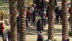 Going To Green - Van Jones Talks about The Green Collar Economy Instructional Video