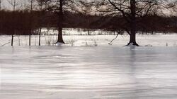 Let's Talk about Winter Instructional Video