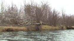 Charlie's Place is significant to the Mi'kmaq, and a new agreement will protect it News Clip