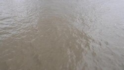 River Thames Uber Boat News Clip