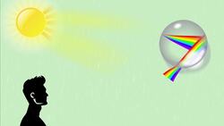 Why Are Rainbows Curved? Instructional Video