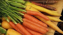 Carrots: Preview Instructional Video