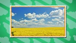 I WONDER - Are Clouds Heavy? Instructional Video