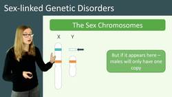 Understanding Sex-Linked Genetic Disorders Instructional Video