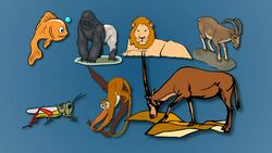 Which Words Begin with G? Instructional Video