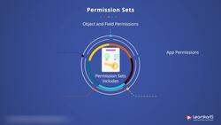 Salesforce Platform App Builder Certification Training - Permission Sets Instructional Video