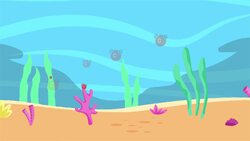 I Wonder - Why Are Ocean Plants Important? Instructional Video