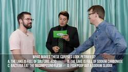 SciShow Quiz Show: The Birds and the Bees ... Literally Instructional Video