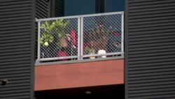 ‘You’ve got to leave.’ Tenants and landlords clash over guaranteed lease renewals Instructional Video