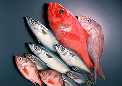 Can Eating Fish Prevent Murder? Instructional Video