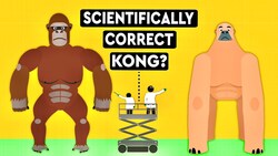 Could A Mammal As Big As King Kong Ever Exist Instructional Video