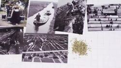 How the Netherlands Learned to Feed the World News Clip