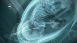 Birth Instructional Video