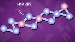 I WONDER - What Is A Polymer? Instructional Video