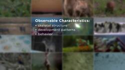 The Classification of Life Instructional Video