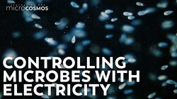 How Electricity Brings Order To Chaos Instructional Video