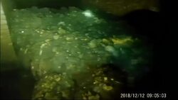 'Monster fatberg', bigger than the Tower of Pisa, discovered in Devon News Clip