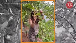 Battling Cancer, Tahira Kashyap Shares Weekend of Strength News Clip