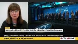 NATO package 'hopefully the beginning of more aid more quickly': advocate Instructional Video