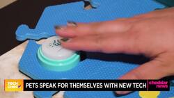 Tech Check: Device Allows Pets To Speak For Themselves News Clip