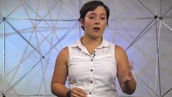 Life in a puddle Instructional Video