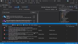 The Complete Guide to ASP.NET Core MVC (.NET 5) - Update to .NET 5 (for Students who are Using .NET core 3.1/3.0) Instructional Video