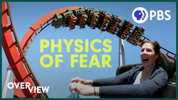 Are Roller Coasters Actually Good For Your Brain? Instructional Video