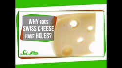 Why Does Swiss Cheese Have Holes? Instructional Video